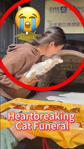 Heartbreaking Cat Funeral