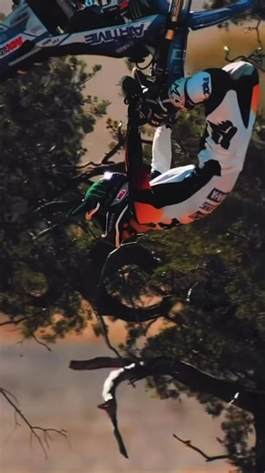 Experience the Thrill of Freestyle Motocross Jumps