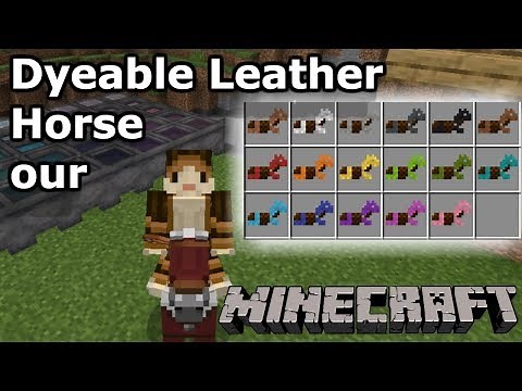 Dyeable Leather Horse Armour!! | Minecraft