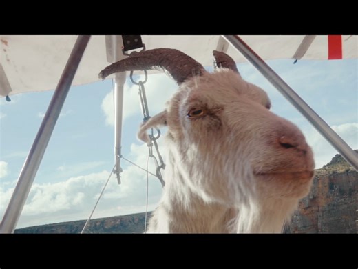 Virgin Media -Goat Glider- Making Of