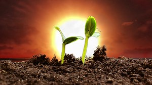 1.4M views · 10K reactions | Reducing carbon footprints is possible with renewable energy! GAIL is #EnergisingPossibilities for a #CleanerIndia! | GAIL (India) Limited | Facebook