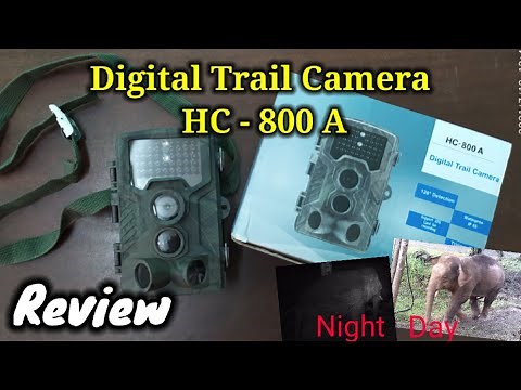 Digital Trail Camera HC - 800 A (Review)