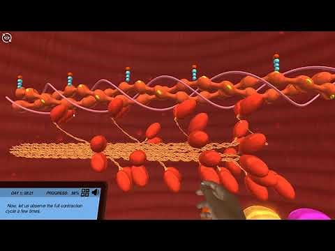 Labster Anatomy & Physiology Virtual Labs