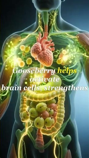 "Gooseberry Benefits Explained with Realistic 3D Medical Animation"