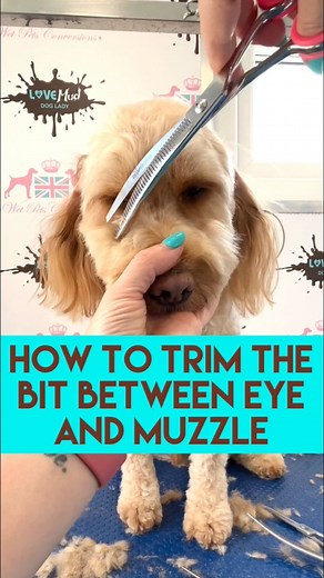 796K views · 2.8K reactions | ⚠️ DONT MISS THIS BIT!!! ⚠️ Anyone else...