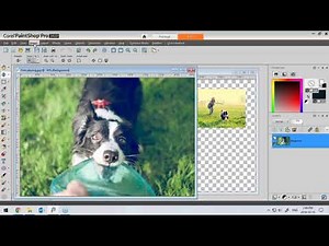 Webinar: Creating a digital scrapbook in PaintShop Pro