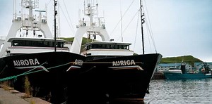 2024 WILD ALASKA POLLOCK A SEASON STARTS