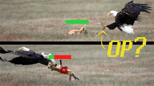 The Science Behind Nature’s Deadliest Claws