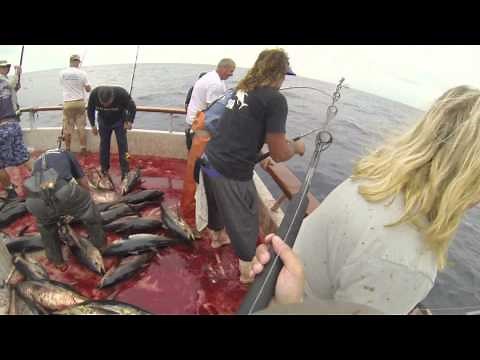 Independence Sportfishing - 7 day - Sept 14-21,2013 FULL VIDEO