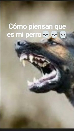 no es malo es muy bonito verdad???🥺🥺🥺