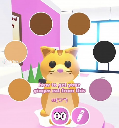 Adopt a Ginger Cat in Roblox: Pusheen Guide