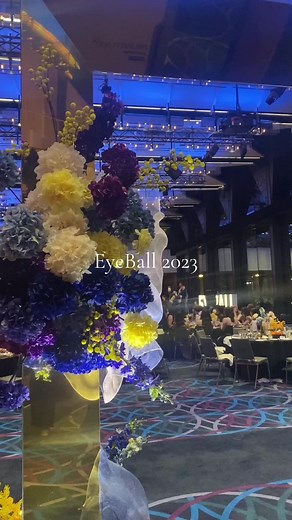 Clair de Lune EyeBall 2023 - UNSW Optometry Event