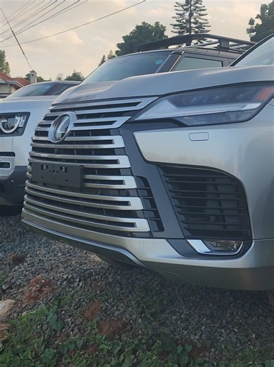 Discover the Lexus LX600 and 550D Features