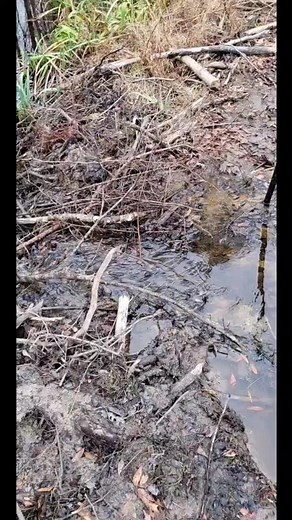 Homemade Tannerite Explosions | DIY Fun