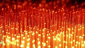 Fibre Optic Terminations. Fiber Optics With Flashing Light Signals. Distribution of the Light Signal. Technology Concept. 3D Animation. Blur With DOF. Seamless Loop. Orange Version. Stock Video