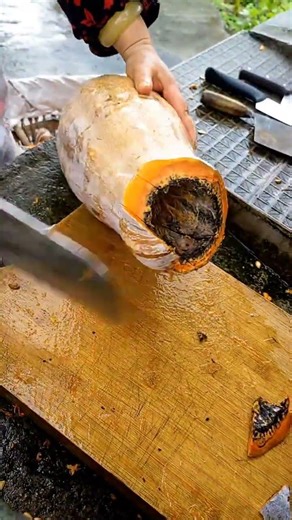 Discover Spring's Hidden Delicacies: Your Wild Vegetable Adventure Guide