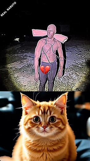 Indian alien..☠️ #funny #cat #dance #shorts