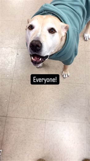 This is our ONE BIG SALE every year, and if you don’t shop this weekend, you’ll miss it (and Ursula will be big mad)! Use code WELOVEYOU40 to save 40% on our entire website, this weekend only! | Practical Paper Company | Facebook