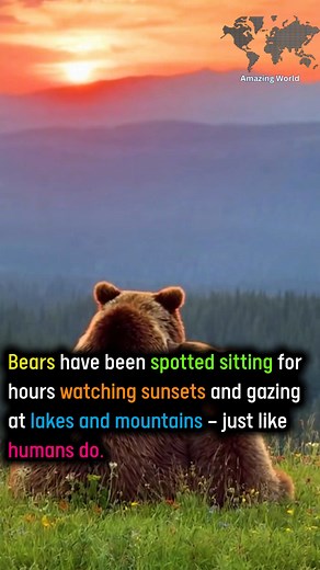 106K views · 10K reactions | Bears | Amazing World | Facebook