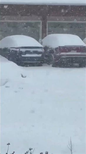 கனடாவில் கொட்டும் Snow in tamil #canada #canadanews #geography