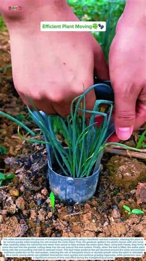 Watch How This Tool Removes a Whole Plant Without Damaging the Roots✨️🤔