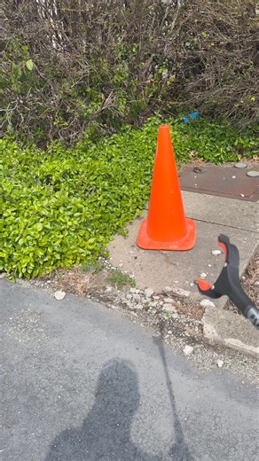 Gotcha right there | Jason the Great