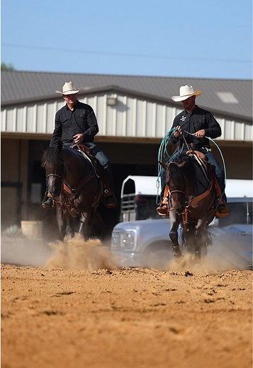 Champion Roping Horses: Best Friends and Future Stars