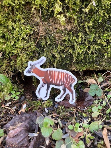 Bongo Sticker, Matte Vinyl Exotic Ungulate Antelope Sticker - Etsy