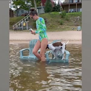 44K views · 1.8K reactions | When your dog is more like a sibling than a pet | Virtudes Studio | Facebook