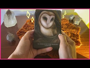 🦉 corujas significam um sinal pra você? 🌞 Abe Tarot