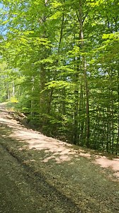 Cât bate în realitate un spray contra urșilor!Testăm în mijlocul pădurii sprayul. | Fane Si Cainii