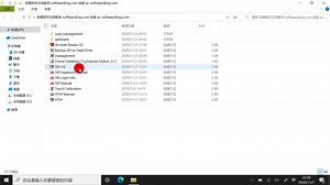 美国SVI视功能康复训练系统 (1)