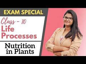 Life Processes - Nutrition in Plants || Class 10