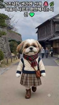 What's Moka doing? Shih Tzu Moka's Emotional Healing Tour of Kagoshima 🐶🍧 (From Shirokuma Shaved ...