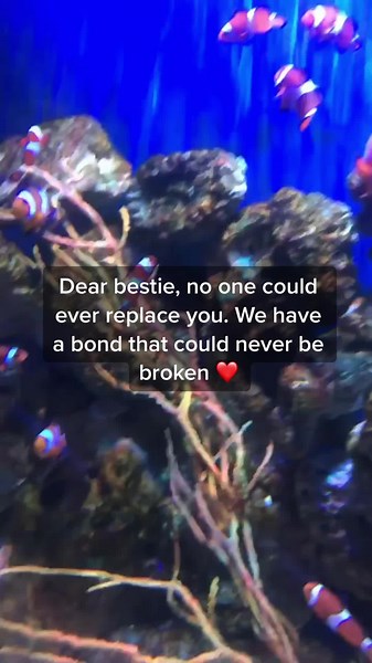 Tag your besties 🥰 #dearbestie #tagsomeone #irreplaceable #strongbond #bestfriend #friendshipgoals #quotes #love #brightsoul #keepshining #fyp #quoteoftheday #relatable #blowthisup #viral #greenscreenvideo #foryoupage