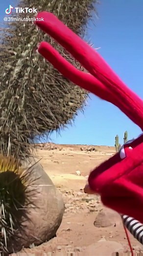 Cuando Bodoque vio un cactus. ※ Del episodio «Guerra en el mar despénsico» (T1, E03). #31minutos #31minTikTok #JuanCarlosBodoque