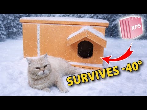 I Turned Cheap Insulation Into A Cat House — Now My Cat Won't Leave