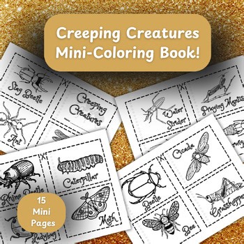 Bug Coloring Book for Kids - Mini Insect Activity for Children - PDF Digital