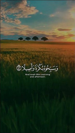 Surah Al-Ahzab in its entirety, recited by Sheikh Ahmed Al-Ajmi | A humble recitation that soothe...