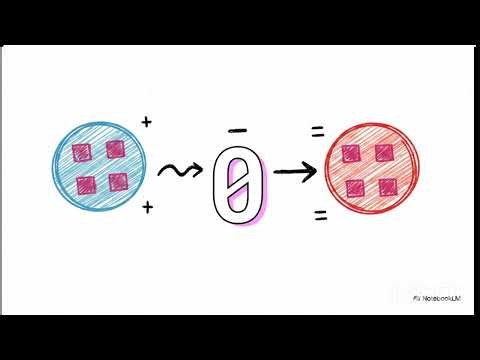 Perceptron Numerical Solver | Class X Artificial Intelligence