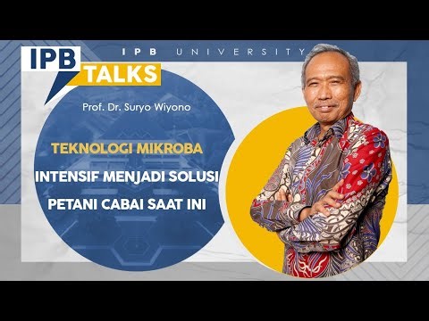 IPB Talks: Prof. Dr. Suryo Wiyono Ciptakan Teknologi Mikroba Intensif untuk Budidaya Cabai