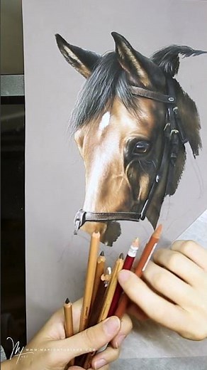 Cheval bai aux pastels par Marion Tubiana