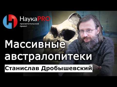 Они процветали 1,5 млн лет, но вымерли – почему? – Станислав Дробышевский | Лекции по антропологии