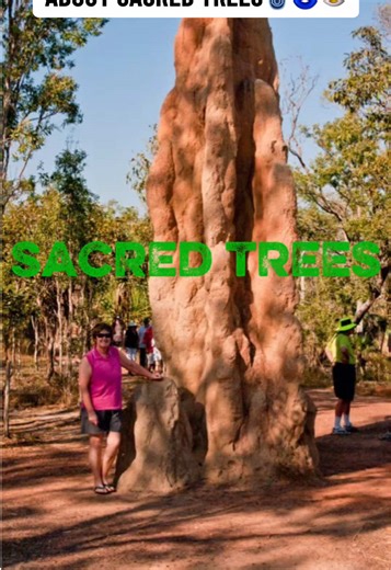 Mystic Insights on the Secrets of Sacred Trees