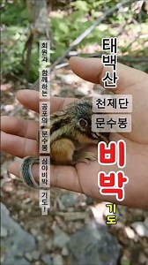 ●공포의 문수봉 비박 심야기도● 회원 과 함께하는 태백산 천제단 문수봉 1박2일 어드벤처~! #무당 #기도터 #travel #태백산 #문수봉 #비박