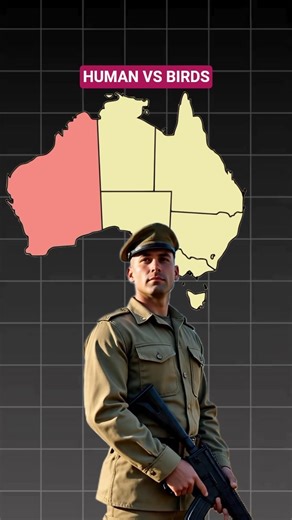 HUMANS VS BIRDS WAR