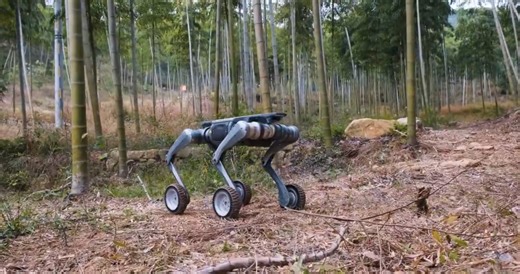Chiny chwalą się robotami-wilkami. Są uzbrojone i potrafią działać w stadzie