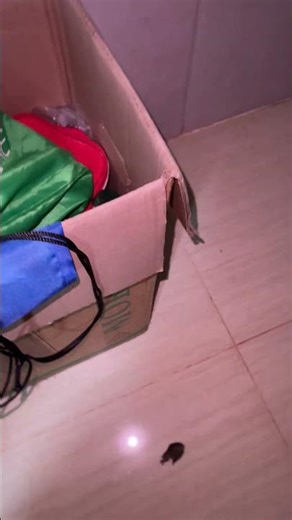 The cockroach hiding 😱 #shorts #shortvideo #insects #viralvideo #shortsfeed