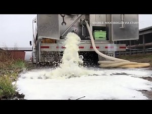 North American farmers dumping tankers-loads of fresh milk
