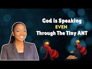 Don’t Ignore the Ant! What God Wants You to Learn from the Smallest Creature